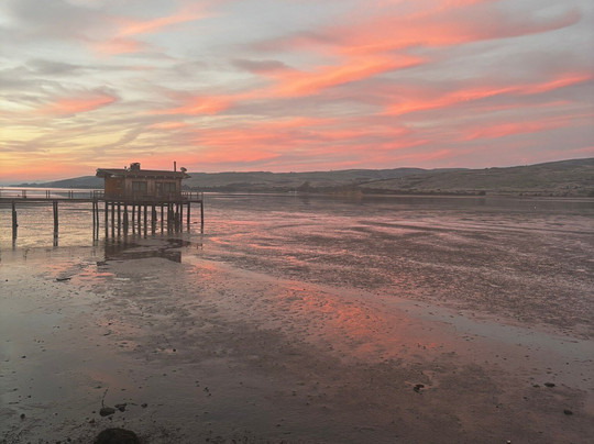 Dancing Coyote Beach主图