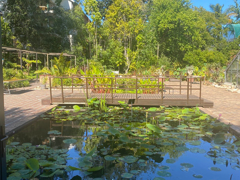 Stellenbosch University Botanical Garden-斯泰伦博斯必去景点