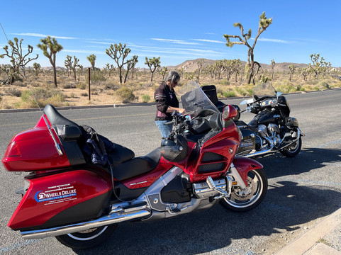 2 Wheels Deluxe-长滩必去景点