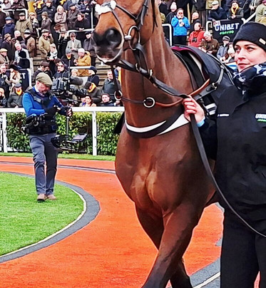 Cheltenham Racecourse-切尔滕纳姆必去景点