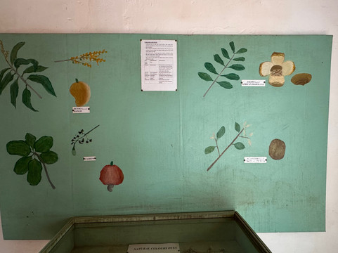 Tanje Village Museum-Tanji必去景点