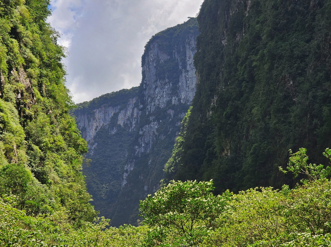 Trilha Do Rio Do Boi-Praia Grande必去景点