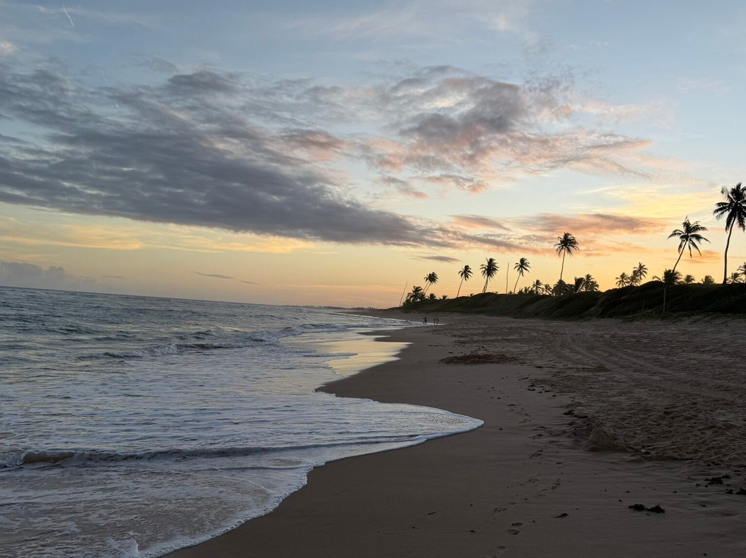 Praia de Itacimirim-Camacari必去景点