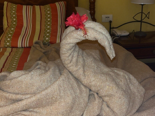 Playa Pesquero-奥尔金必去景点