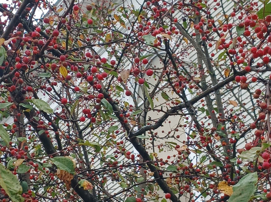 Unitarian Church-蒙彼利埃必去景点