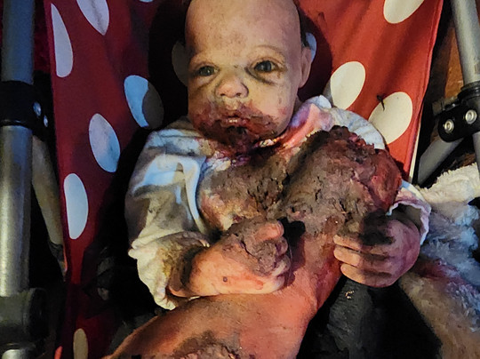 The Museum Of Curiosities-诺丁汉必去景点