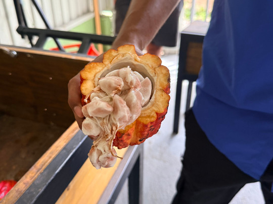 NexusTours-圣何塞必去景点