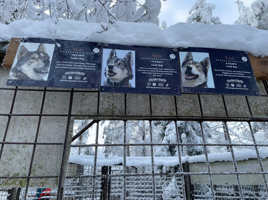 Arctic Circle Husky Park-罗瓦涅米必去景点
