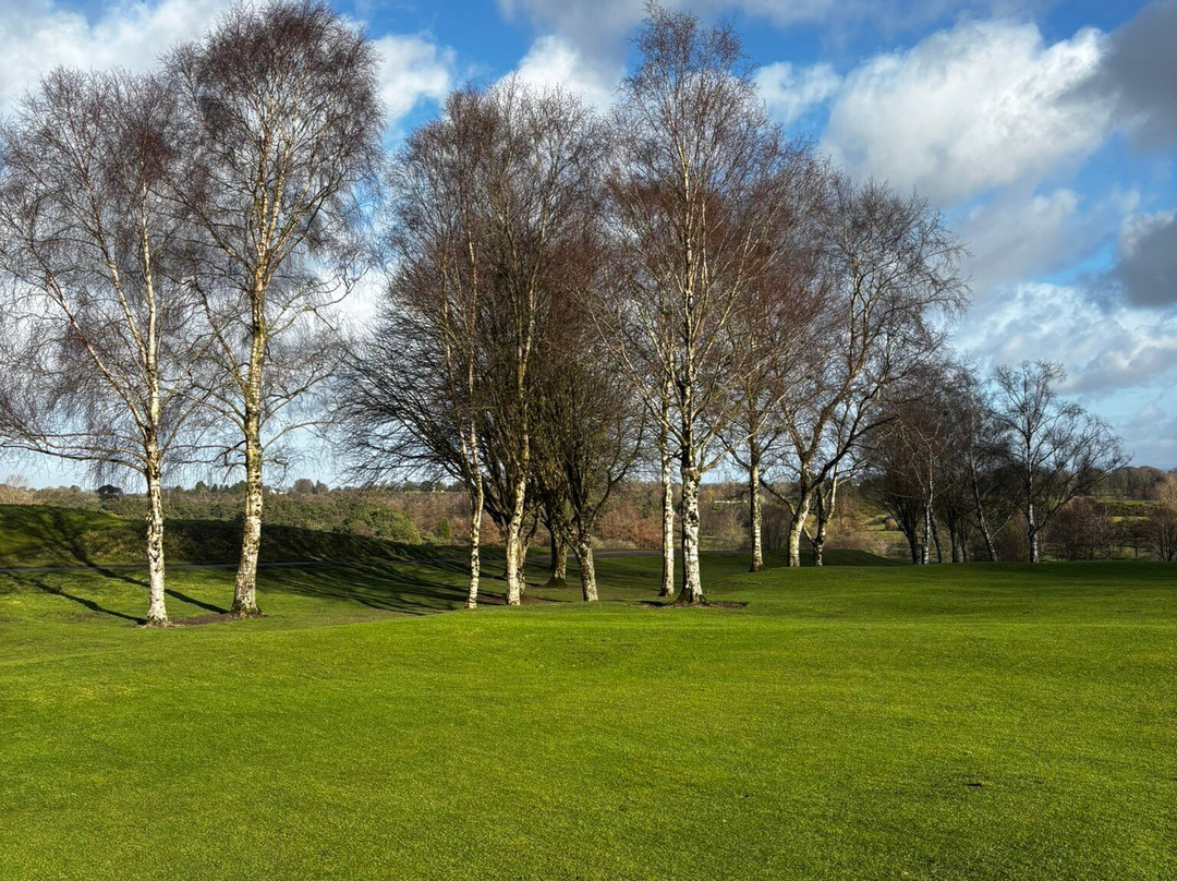 Royal Curragh Golf Club-The Curragh必去景点
