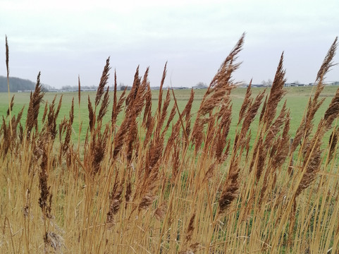 Enjoy Strandhotel Wemeldinge主图