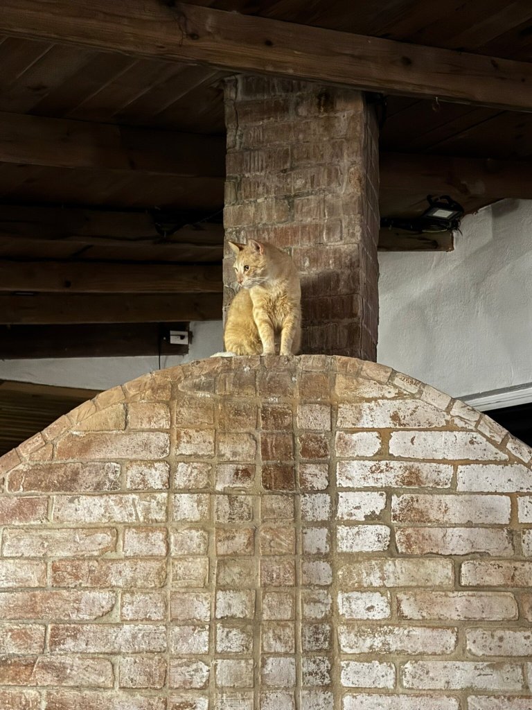 Hotel Villa Taina-官方