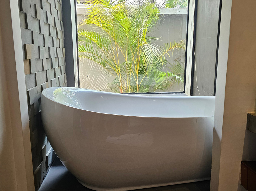 新塔纳萨亚公寓主图