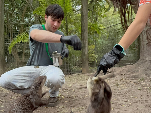 ZWF野生动物园-迈阿密必去景点