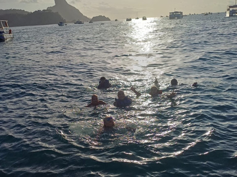 Primeirissima Turismo-费尔南多-迪诺罗尼亚群岛必去景点