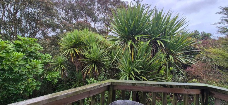 怀赫科岛汽车旅馆-酒店景观