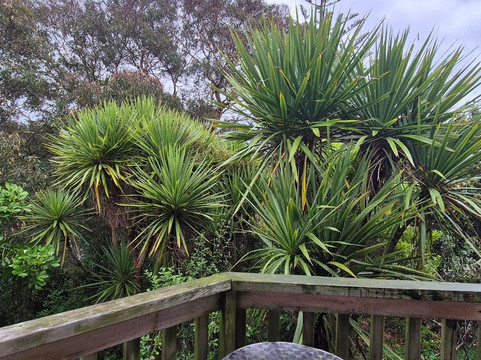 怀赫科岛汽车旅馆主图