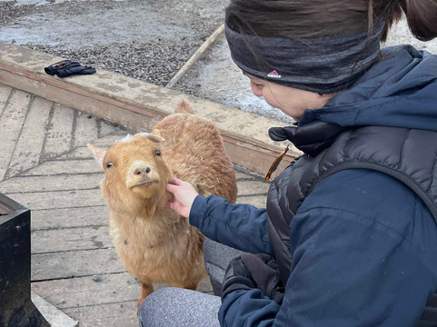 龙恩山牧场酒店主图