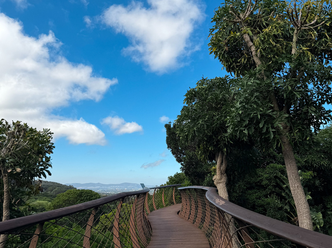 The Cape Town Tour Guide Co.-开普敦中心区必去景点