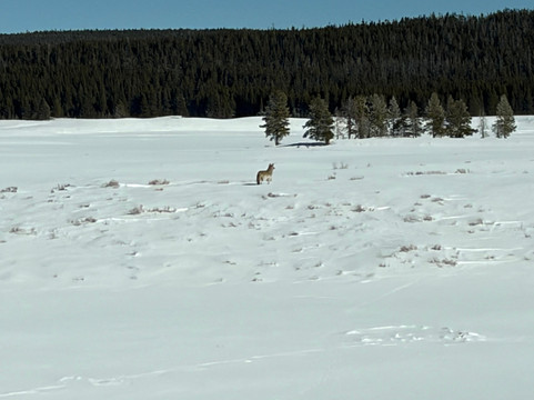 Austin Adventures-比灵斯必去景点