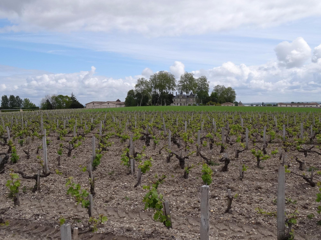 Château Pichon Longueville Comtesse de Lalande-波亚克必去景点