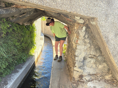 Levada do Piornais-马德拉群岛必去景点