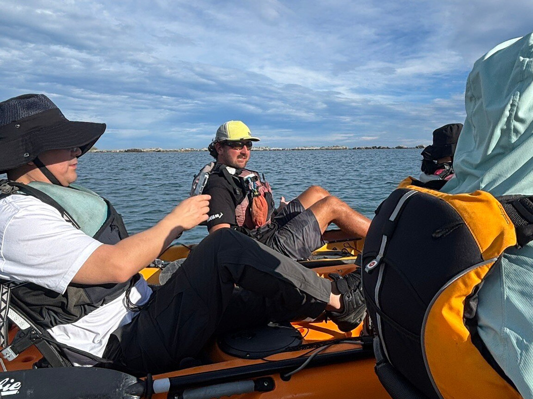 Seal Kayak Kaikoura-Kaikoura必去景点