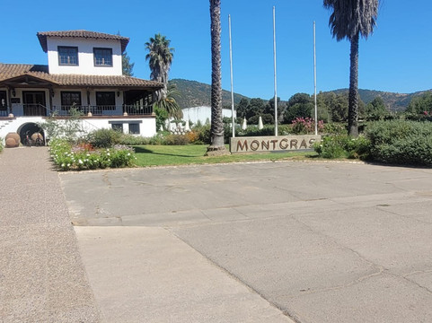 MontGras-Palmilla必去景点