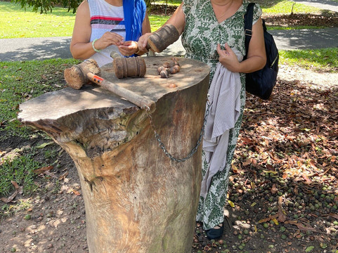 Macadamias Australia-邦德堡必去景点