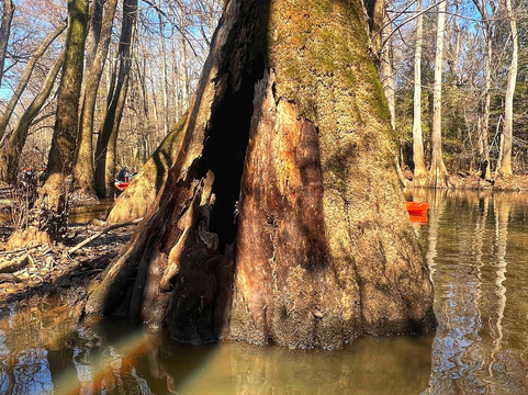 Carolina Outdoor Adventures-厄莫必去景点
