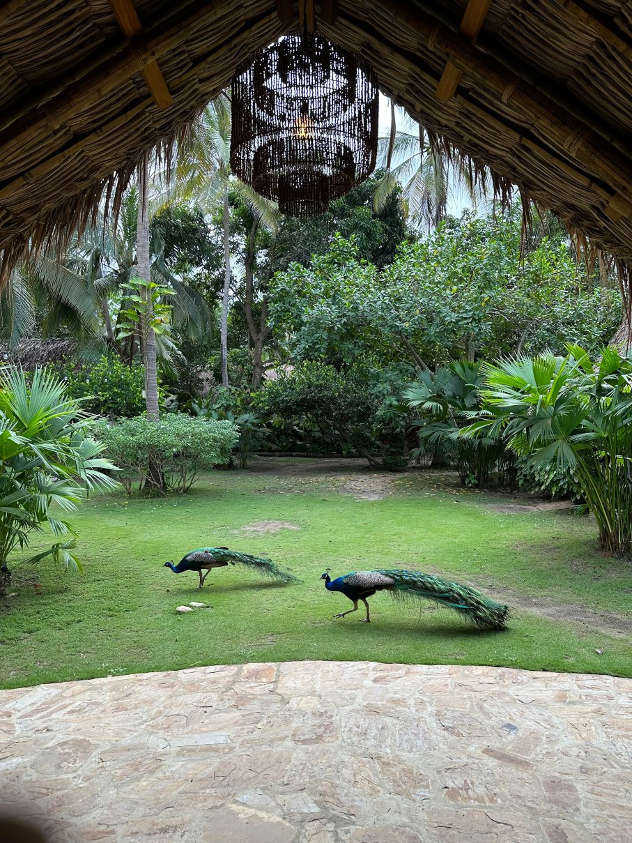 Gitana del Mar Beach Retreat-浴室