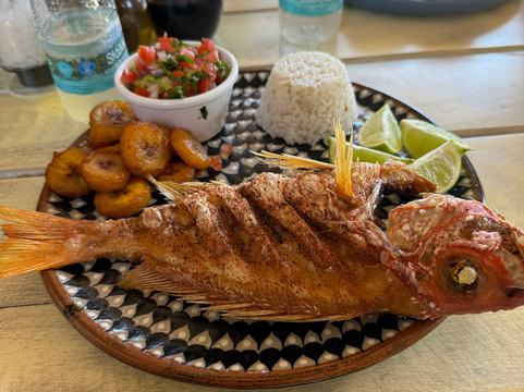 Pez Quadro Beach Club-Mahahual必去景点