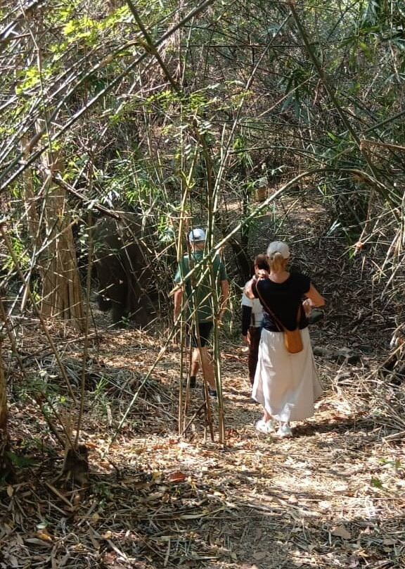 Luang Prabang Elephant New Home-琅勃拉邦必去景点