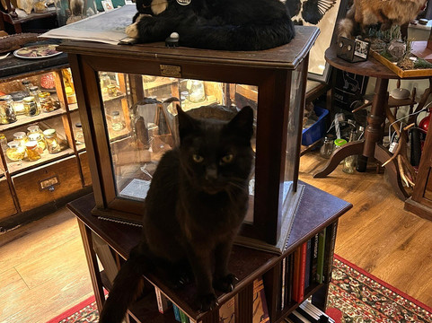 Morbitorium-卡菲利必去景点