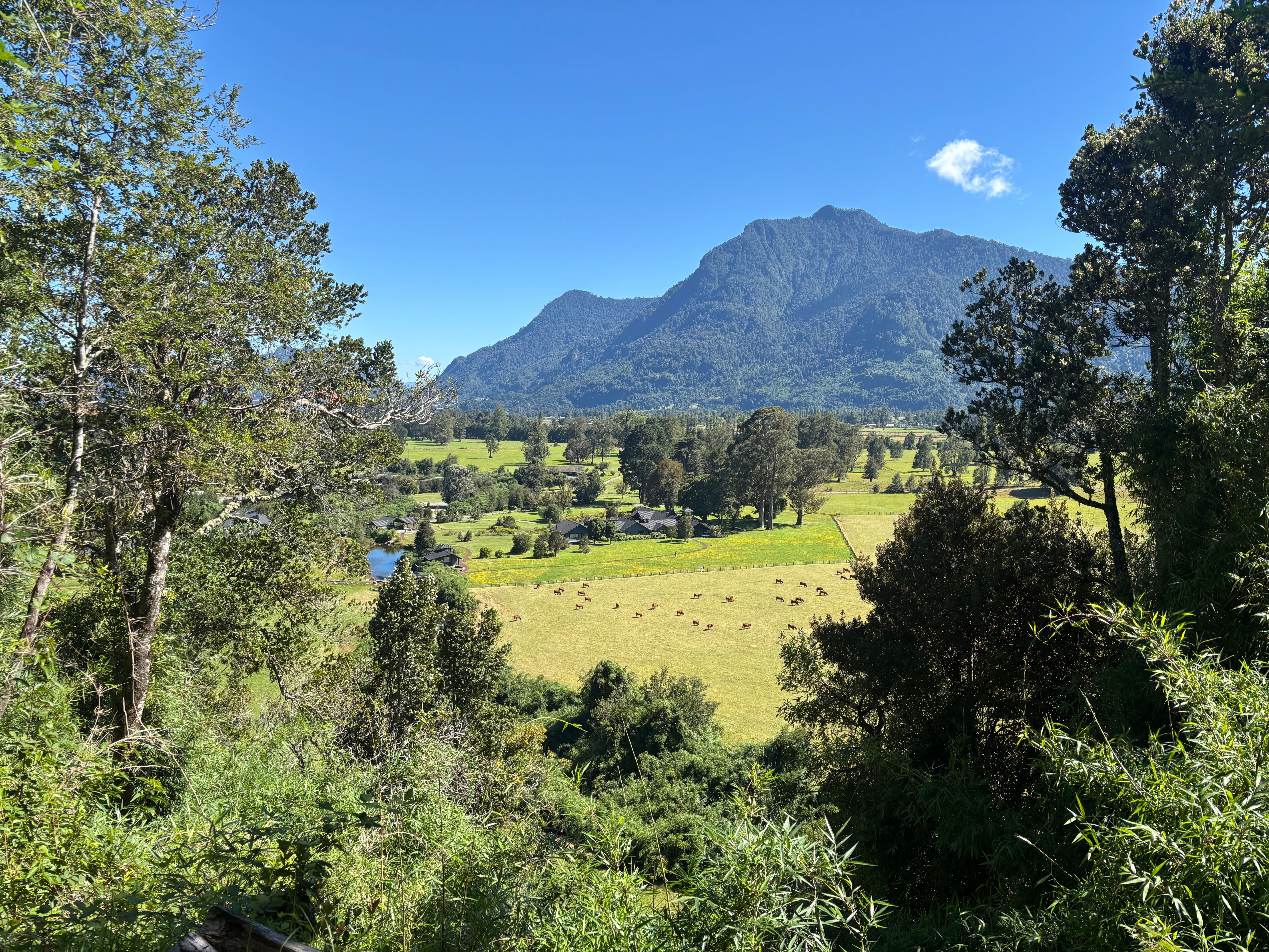 富坦格 Spa 酒店-浴室