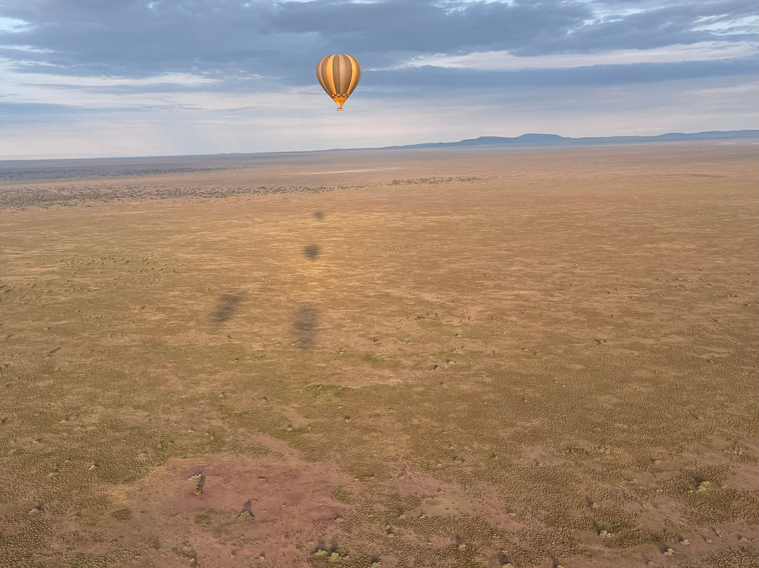 Miracle Experience Balloon Safaris-塞伦盖蒂国家公园必去景点