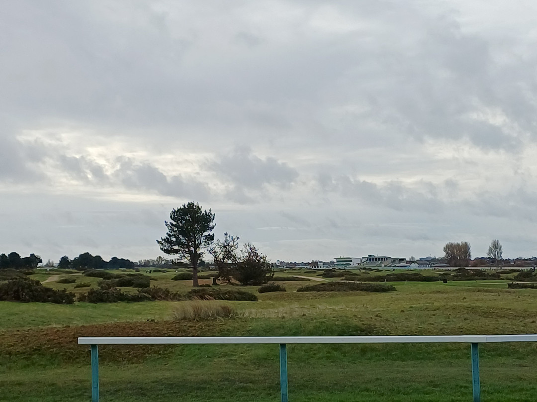 Great Yarmouth and Caister Golf club-诺福克郡必去景点