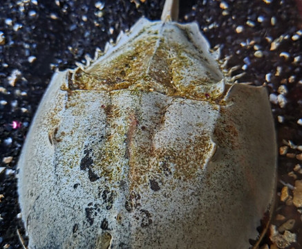 Aquarium du Limousin-利摩日必去景点