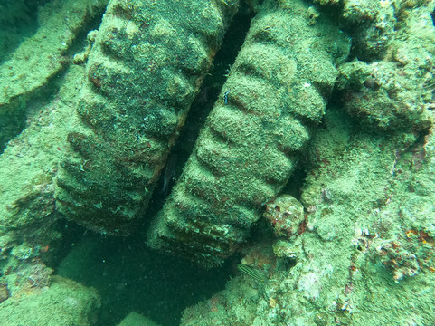 Pacific Dive-卢甘维尔必去景点