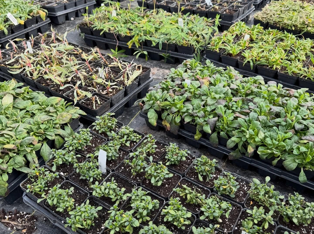 Gatewood Vegetable Farm & Greenhouses, Inc.-Noblesville必去景点