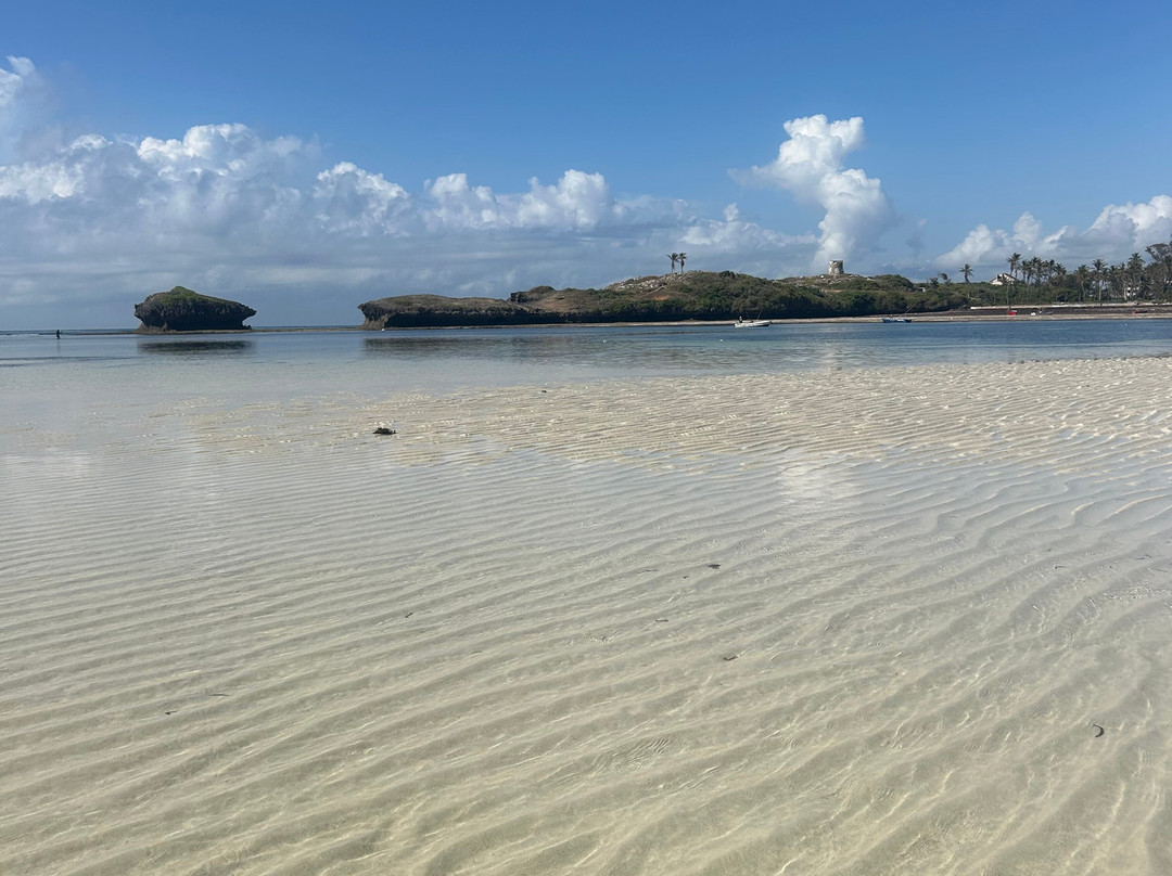 Gattokko - Safari e Tours in Kenya-瓦塔木必去景点