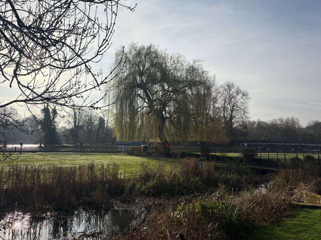 斯特雷特利天鹅酒店主图