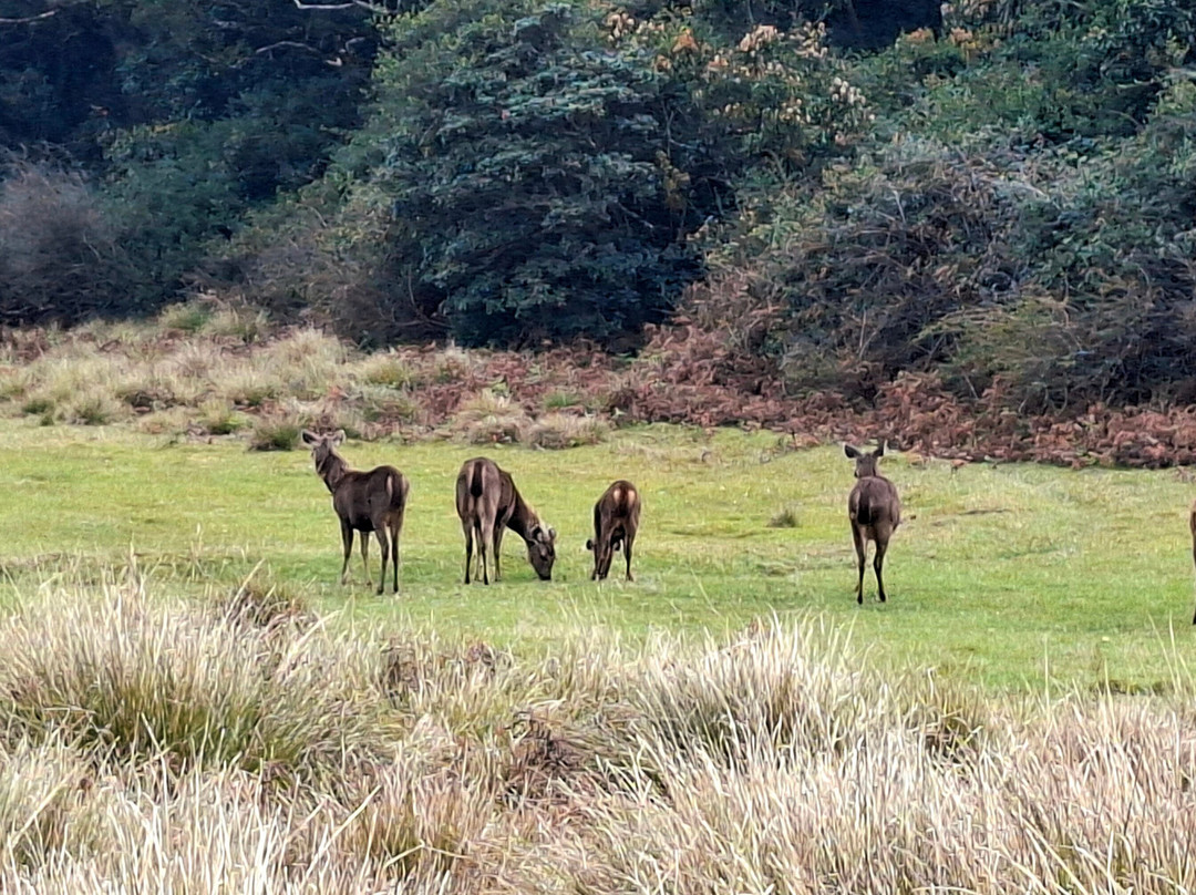H Tour's Ceylon-Warakapola必去景点