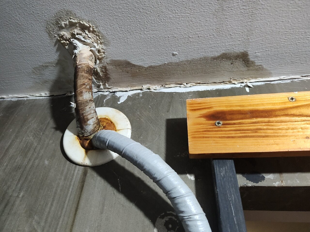 青蓬月光度假村主图