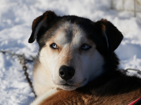 Polar Lights Tours-Sirkka必去景点