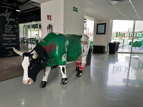 Territorio Santos Modelo-Torreon必去景点