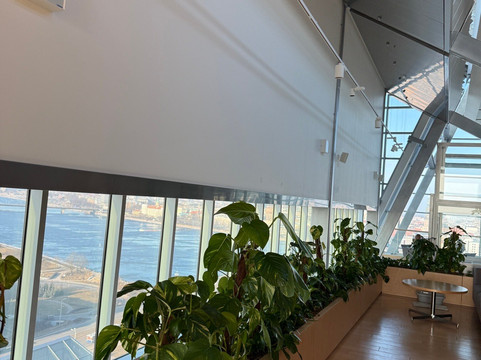 National Library of Latvia-里加必去景点