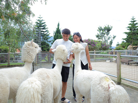 Bali Farm House-Pancasari必去景点