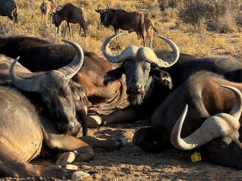 Mont Eco野生动物保护区主图
