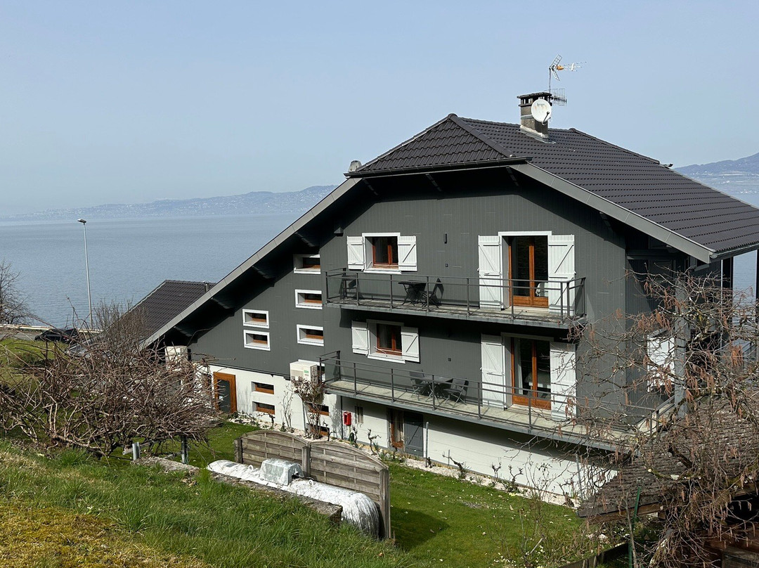 乐莱蒙酒店主图