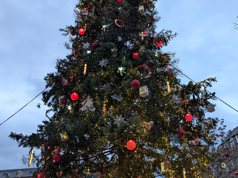 Place Kleber-斯特拉斯堡必去景点